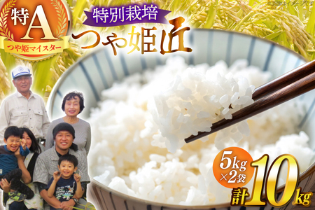 令和7年産 厳選米 匠 特別栽培米 つや姫 10kg [金子農園 山形県 高畠町 tk06ays950034]