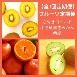 【全3回フルーツ定期便】さぬき讃フルーツさぬきゴールドと小原紅早生みかんと香緑【D-13】