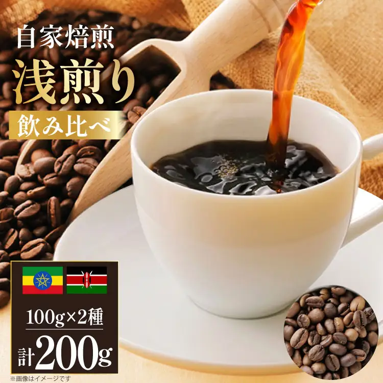 コーヒー豆 自家焙煎 浅煎り 100g 2種 計200g  (生豆時) 飲み比べ セット シングルオリジン [フライヤーズ・カンパニー 北海道 砂川市 12260779]  