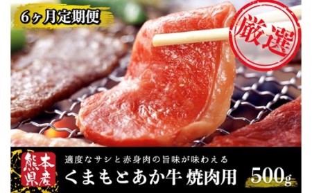 【6ヶ月定期便】GＩ認証 くまもとあか牛 焼肉 500g 定期便 6ヶ月 熊本県産 あか牛 焼肉用 500g 6回 くまもとあか牛 GI認証取得 和牛 国産牛 肉 牛 焼肉 赤身 バーベキュー ギフト 贈答用 阿蘇牧場 熊本 阿蘇 南小国町 送料無料