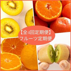 【全4回フルーツ定期便】さぬきゴールドと小原紅早生みかんとさぬきキウイっこと不知火【E-11】