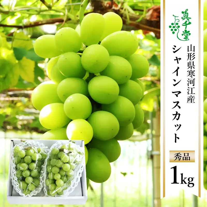 令和8年産 ぶどう「シャインマスカット」1kg 秀品 山形県産【2026年9月上旬頃から10月中旬頃発送予定】 ※配送不可 沖縄・離島　016-B-SD004