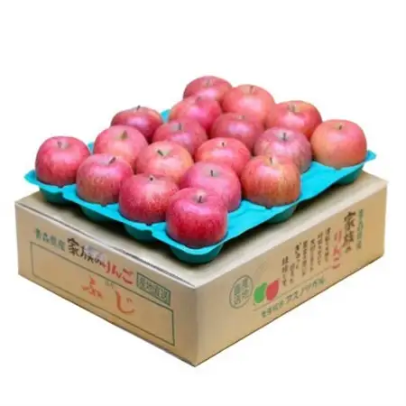 【27年4月から順次発送】平均糖度13度以上! 有袋ふじ 約5kg 訳あり 青森県産 りんご_果物・フルーツ りんご  リンゴ 林檎_【配送不可地域：離島・沖縄県】【1587543】