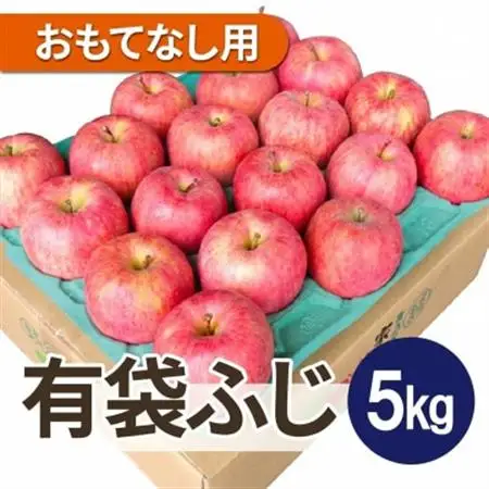 【27年4月から順次発送】平均糖度13度以上! 有袋ふじ 約5kg おもてなし用 CA貯蔵 クール便_果物・フルーツ りんご  リンゴ 林檎_【配送不可地域：離島・沖縄県】【1587545】