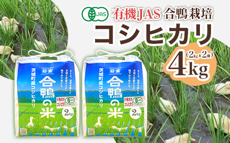 【令和7年産】コシヒカリ 4kg ファームランドさいとう 570