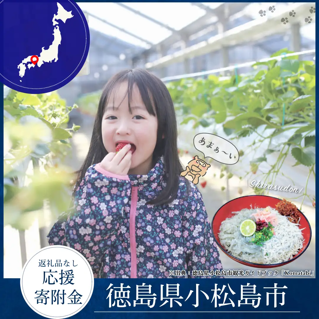 徳島県小松島市 【 返礼品なしの寄附】1,000円 返礼品なし