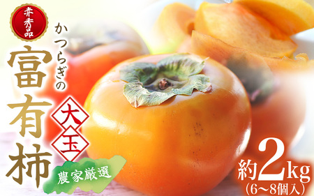 柿 富有柿 赤秀品 大玉 6個～8個入 こだわり農家厳選【2026年10月末から11月末頃に順次発送予定】 / 柿 フルーツ 果物 かき 和歌山 かつらぎ 農家直送 贈答 【BK-kgr043】