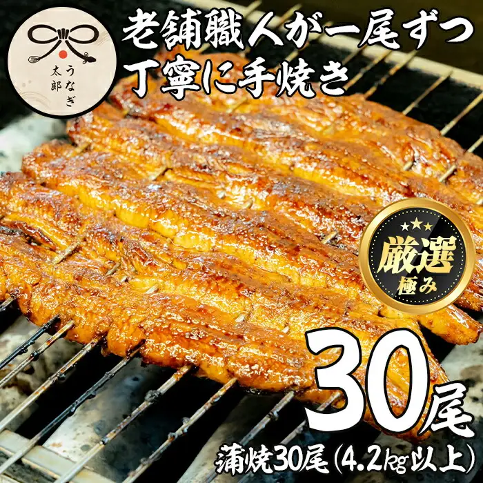 【3903717a】＜大容量！＞鹿児島県産東串良町のうなぎ蒲焼(30尾・計4.2kg以上・秘伝のタレ付き) うなぎ 高級 ウナギ 鰻 国産 蒲焼 蒲焼き たれ 鹿児島 【うなぎ太郎】