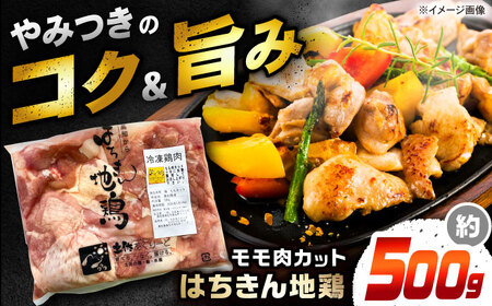 高知の地鶏はちきん地鶏モモ肉カット 約500g×1 【合同会社土佐あぐりーど】[ATBO020]