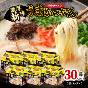 豚骨ラーメン うまかっちゃん 濃厚新味 30食セット（5袋パック×6セット） _PC9006