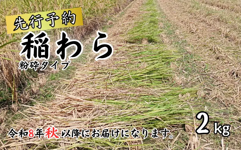 岩美町産コシヒカリの稲わら （粉砕タイプ）２kg｜鳥取 岩美 稲わら わら 藁 家庭菜園 先行予約 お届けは2026年10月～【34006】