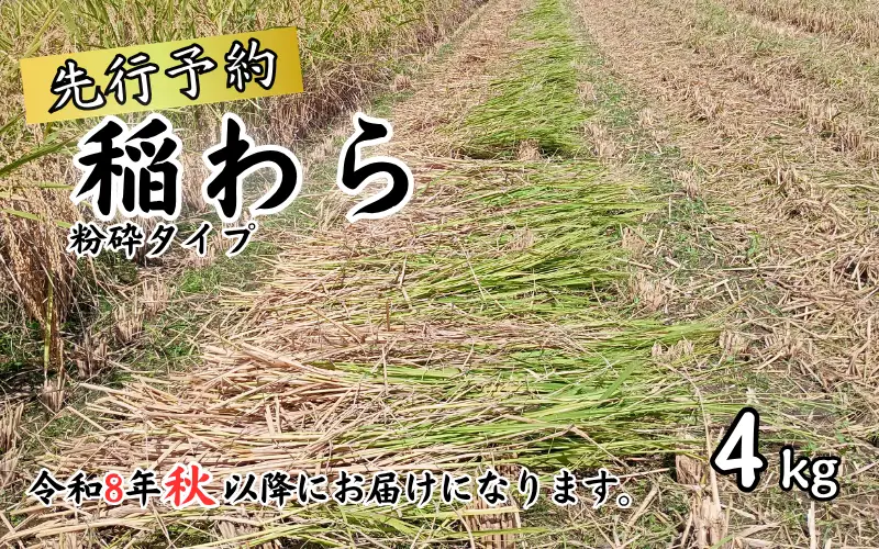 岩美町産コシヒカリの稲わら （粉砕タイプ）４kg｜鳥取 岩美 稲わら わら 藁 家庭菜園 先行予約 お届けは2026年10月～【34007】