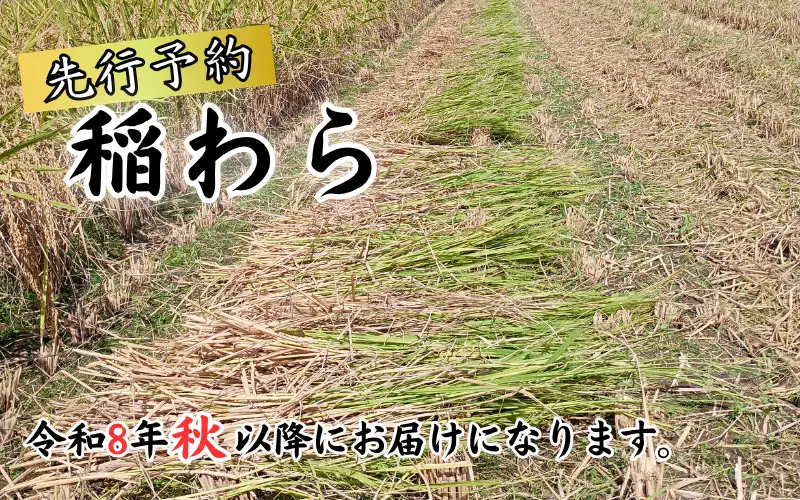 岩美町産コシヒカリの稲わら （長いタイプ）５kg｜鳥取 岩美 稲わら わら 藁 家庭菜園 先行予約 お届けは2026年10月～【34003】