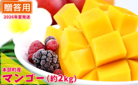 マンゴー【2026年夏発送】もとぶ町産マンゴー（贈答用）約2kg詰め フルーツ