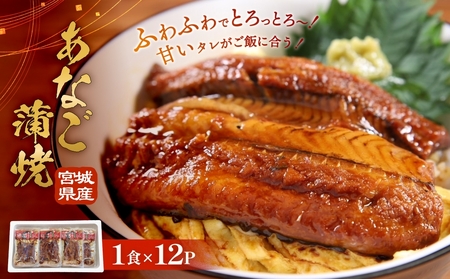 宮城県産あなご蒲焼（1食）12入 冷凍 小分け 穴子 アナゴ 蒲焼き 魚 お魚 丼 寿司 おかず