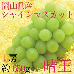 [HS]9月・10月発送 シャインマスカット 晴王 1房 約650g  ｜ シャインマスカット
