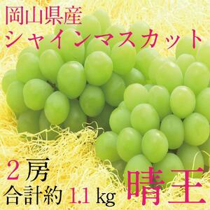 [HS]9月・10月発送 シャインマスカット 晴王 2房（合計約1.1kg） ｜ シャインマスカット