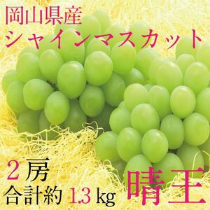 [HS]9月・10月発送 シャインマスカット 晴王 2房（合計約1.3kg） ｜  シャインマスカット