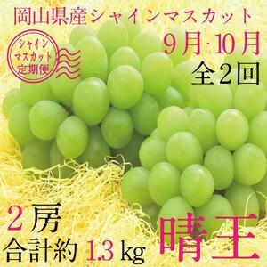 [HS]【定期便 全2回】ぶどう 2026年 先行予約 9月・10月発送 シャイン マスカット 晴王 2房（合計約1.3kg） ブドウ 葡萄  岡山県産 国産 フルーツ 果物 ギフト