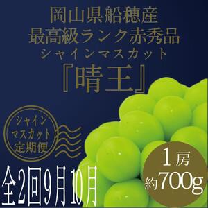 [HS]【定期便 全2回】ぶどう 2026年 先行予約 9月・10月発送 最高級品シャイン マスカット 晴王 1房 約700g ブドウ 葡萄  岡山県産船穂産 フルーツ 果物 ギフト