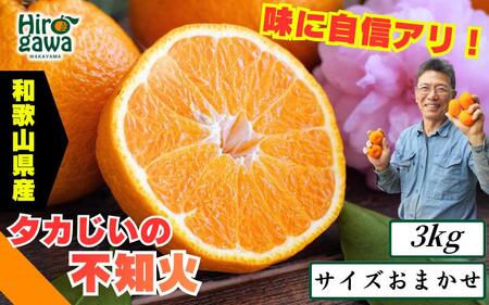 タカじいの 不知火 ( しらぬい ） 3kg / デコポン 甘い 和歌山 有田 柑橘 ※2027年3月上旬〜3月下旬に順次発送 【krs010-r-3A】