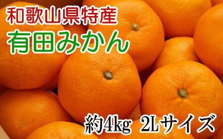 秀品 和歌山 有田みかん 約4kg 2Lサイズ【tec915B】