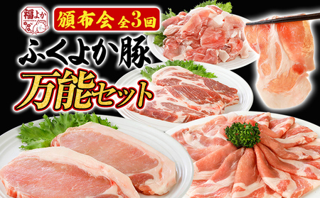 【頒布会】 豚肉 万能セット ふくよか豚肉