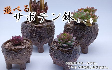 眞名焼 サボテン鉢 小＋大サイズ　｜鳥取 岩美 鉢 丸型 角型【71015】