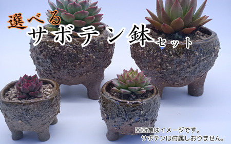 眞名焼 サボテン鉢 小＋特大サイズ　｜鳥取 岩美 鉢 丸型 角型【71016】