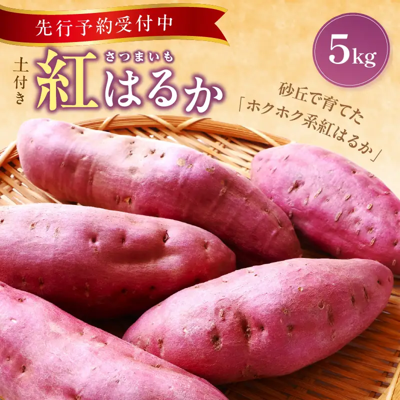 【先行予約／数量限定】京丹後産 土付き 紅はるか（さつまいも） 5kg（2026年11月上旬～発送）