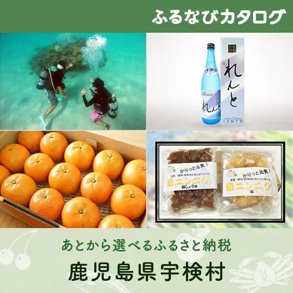 【有効期限なし！後からゆっくり特産品を選べる】鹿児島県宇検村カタログポイント