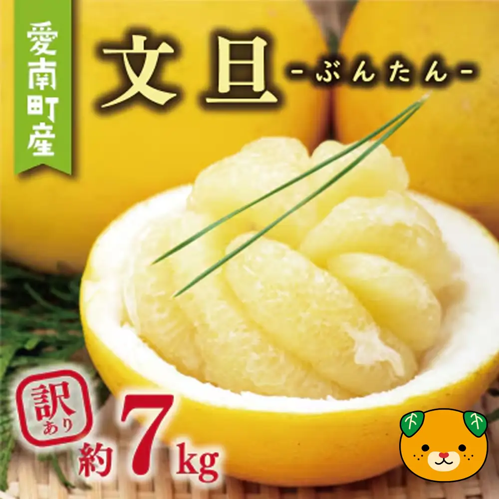 訳あり 文旦 7kg 8000円 ぶんたん みかん mikan 蜜柑 ミカン わけあり 家庭用 産地直送 国産 農家直送 糖度 期間限定 数量限定 特産品 ゼリー ジュース アイス 人気 限定 甘い 果実 果肉 フルーツ 果物 柑橘 ビタミン 健康 美味しい おいしい ジューシー 小玉 含む サイズ ミックス 規格外 傷み補償 500g ミッチーのおみかん畑 愛南町 愛媛県【micchi41】