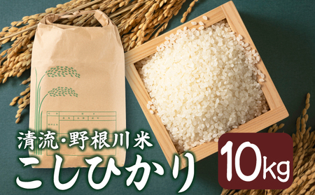 【先行予約】【令和8年度産】MZ001 野根川米10kg こしひかり
