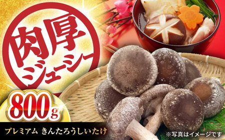 プレミアムきんたろうしいたけ[AQBD001] しいたけ