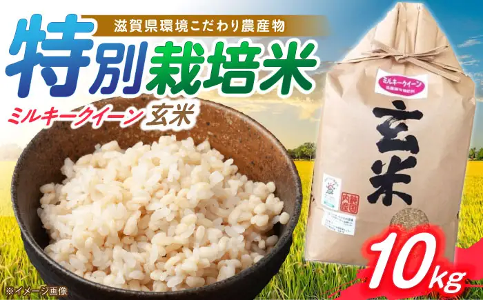 低農薬栽培 ミルキークイーン 玄米10kg[AQBL021] ミルキークイーン