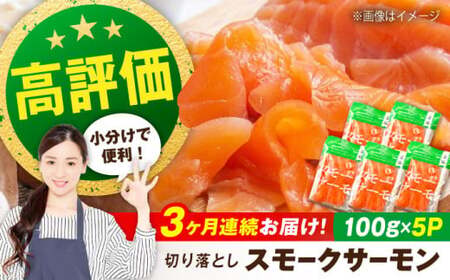 サーモン【全3回】スモークサーモン 100ｇ×5[AQAJ020]