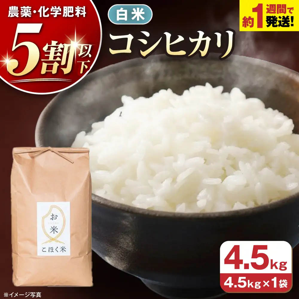 白米 令和7年産 コシヒカリ4.5kg[AQAK002]白米