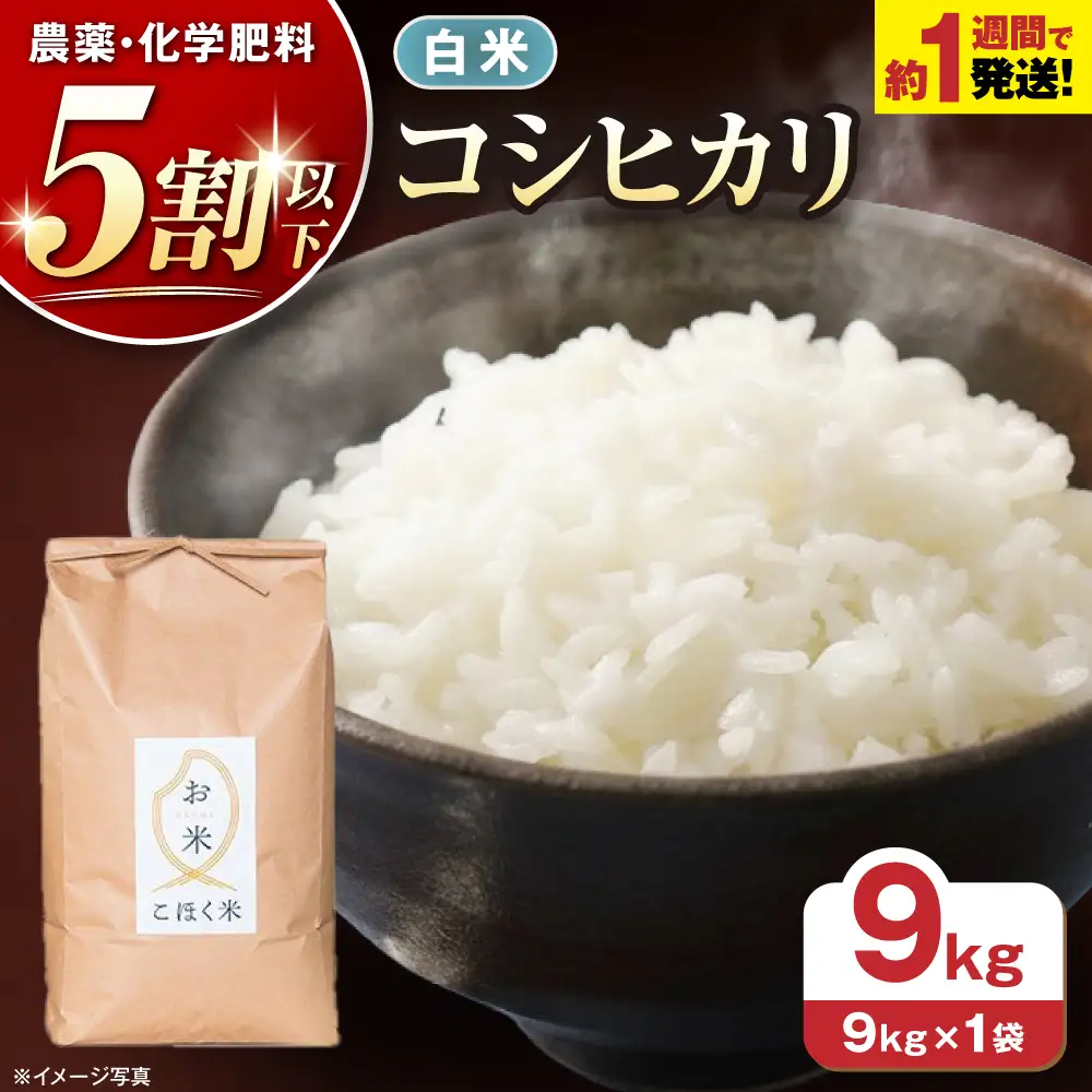 白米 令和7年産 コシヒカリ9kg[AQAK004]白米