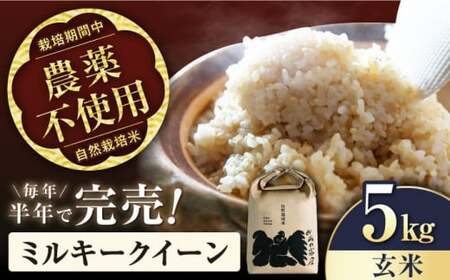 米 ミルキークイーン 5kg 玄米 自然栽培米 [AQCP003]