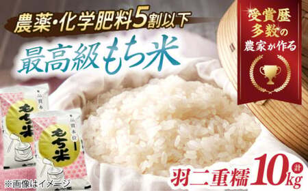 もち米【特別栽培米】羽二重糯（はぶたえもち）5kg×2[AQCQ011] もち米