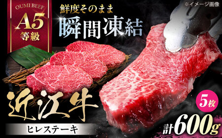 近江牛ヒレ120g×5[AQCS009] 近江牛 牛肉 ヒレステーキ