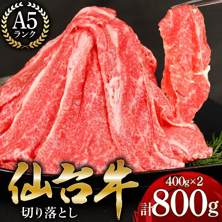 【ふるなび限定】【仙台牛 A-5ランク】切り落とし 400g 2p 計800g [気仙沼市物産振興協会 宮城県 気仙沼市 20565363] 限定掲載 FN-Limited-SP