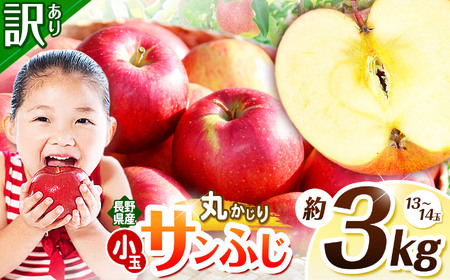 訳あり サンフジ 丸かじり SSサイズ 約3kg 【2026年先行予約】 | 浅野農園