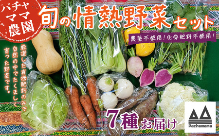 野菜 無農薬 農園自慢の情熱野菜セット 7品