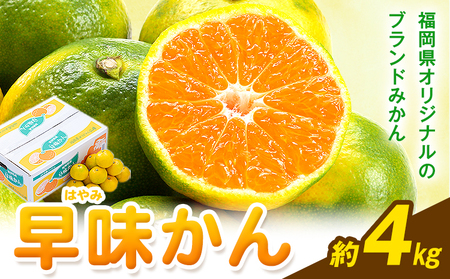 みかん 早味かん 約4kg  南国フルーツ株式会社【26年度出荷】《9月中旬-9月下旬頃出荷》福岡県 鞍手町 福岡県産 みかん 早味かん フルーツ 果物 