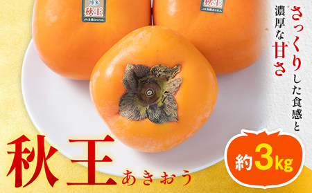 柿 秋王 約3kg（8-12玉） 南国フルーツ株式会社【26年度出荷】《10月下旬-11月末頃出荷》福岡県 鞍手町 福岡県産 柿 フルーツ 果物