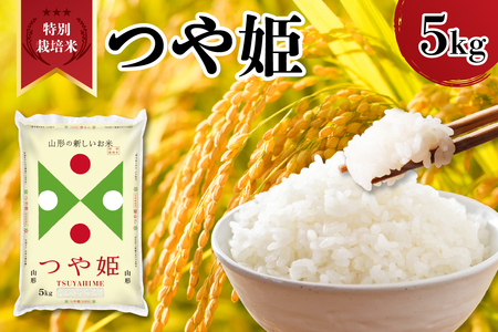 令和7年産 山形県産 特別栽培米 つや姫 5kg 精米 白米 2025年産 産地直送 山形県 米沢市