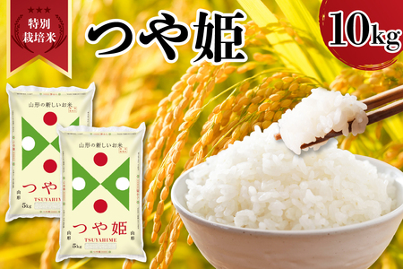 令和7年産 山形県産 特別栽培米 つや姫 10kg ( 5kg × 2袋 ) 精米 白米 2025年産 産地直送 山形県 米沢市