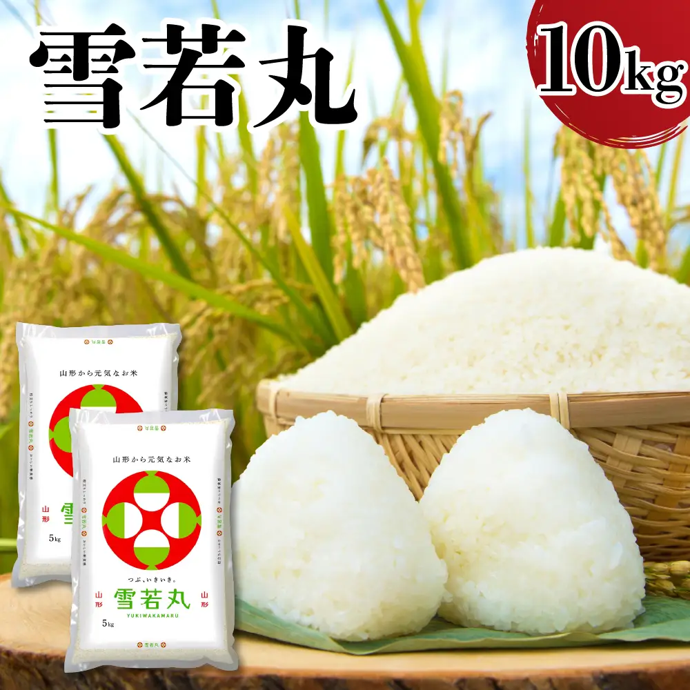 令和7年産 山形県産 雪若丸 10kg 精米 雪若丸