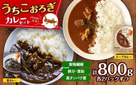 うちこおろぎスープカレー2個と定番コオロギ黒カレー2個セット BKBN003 カレー